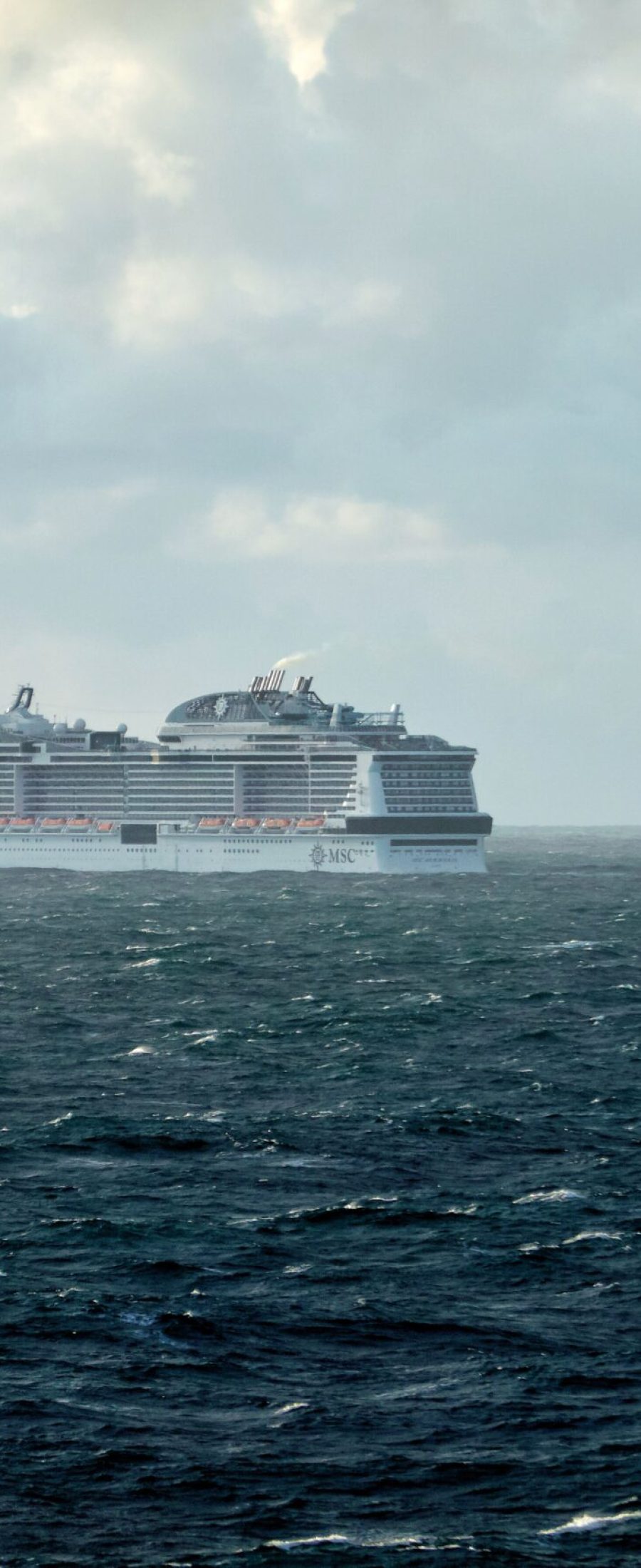cruise-4339923